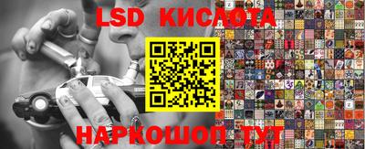 ГАЛЛЮЦИНОГЕННЫЕ ГРИБЫ Новозыбков