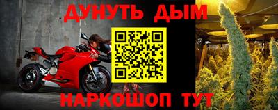 ГАЛЛЮЦИНОГЕННЫЕ ГРИБЫ Новозыбков