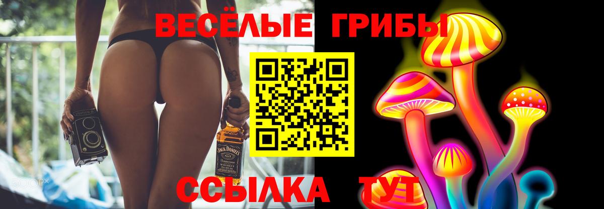 Псилоцибиновые грибы Psilocybe  Вход с VPN  наркотики  Семёнов 